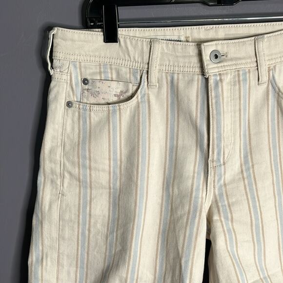 Anthropologie Pilcro Slim Boyfriend Blue and Tan Striped Shorts Size 27 - Picture 2 of 10